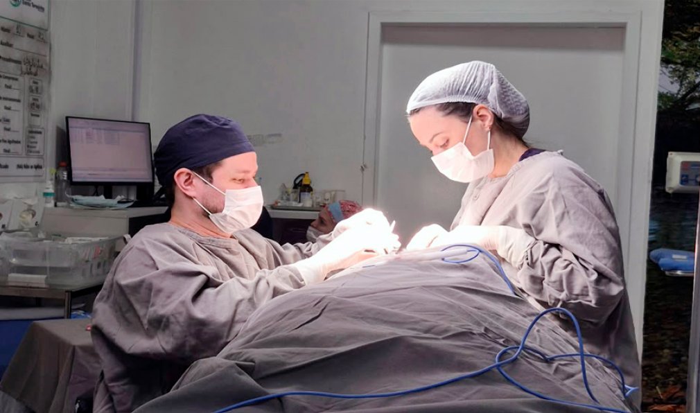 Iniciam cirurgias do projeto de Otoplastia
